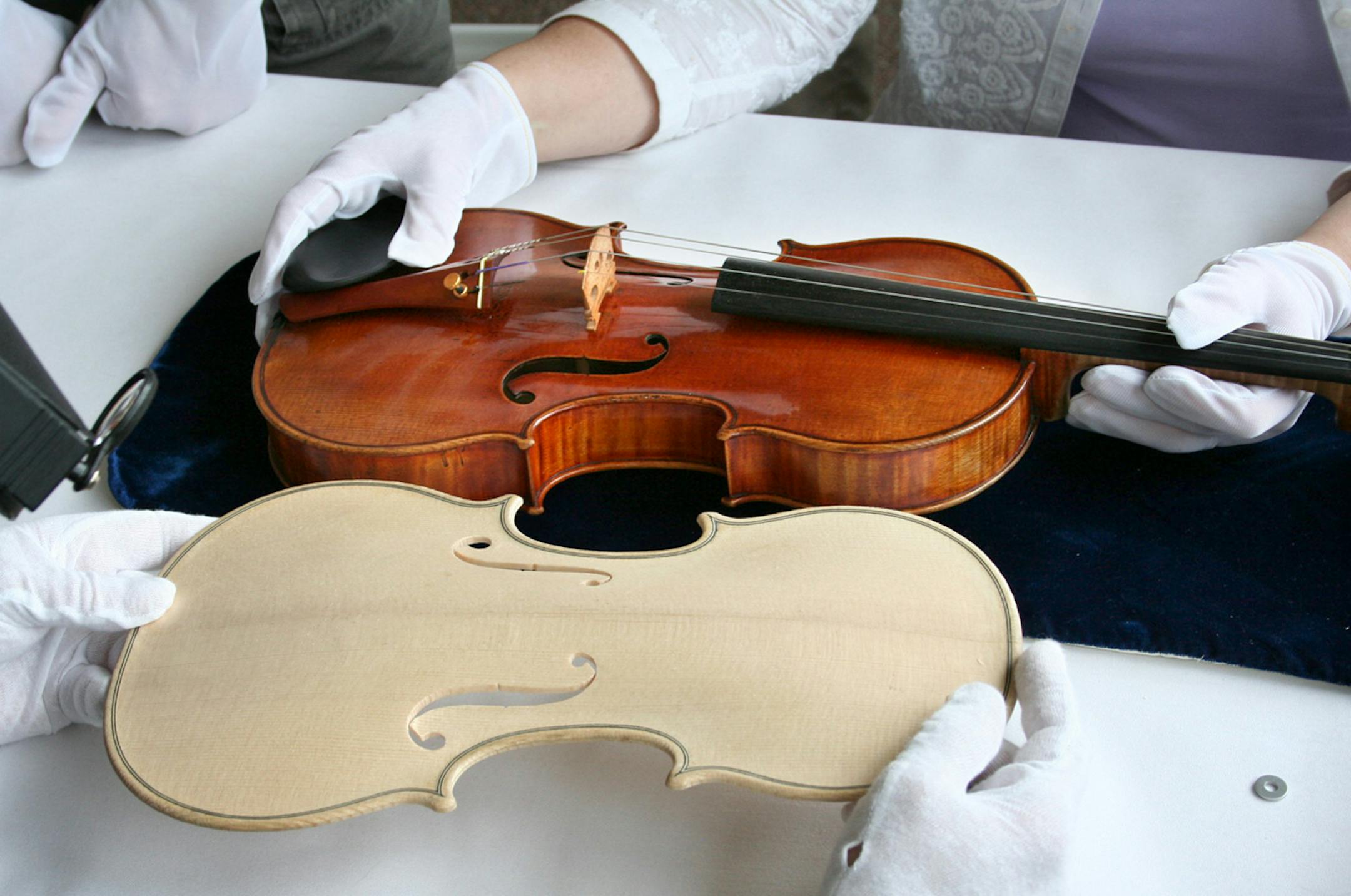 One of the replicas under construction compared to the Betts Stradivarius violin.