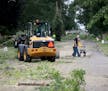 Two people walked by as a crew from the St. Paul parks and recreation department removed ash trees along Juno Avenue Thursday, Aug. 2, 2018, in St. Pa
