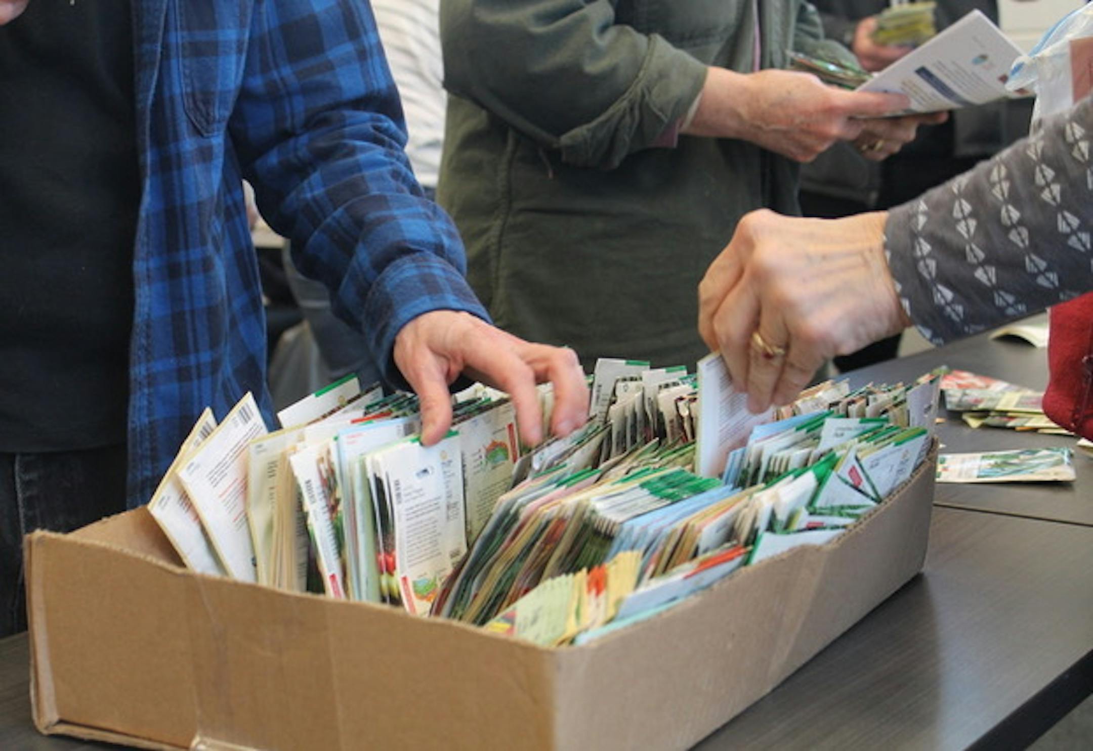 Photo by Austin Macalus
Gardeners attending the first meeting of the Twin Cities Growers Network sorted through a box of seeds.