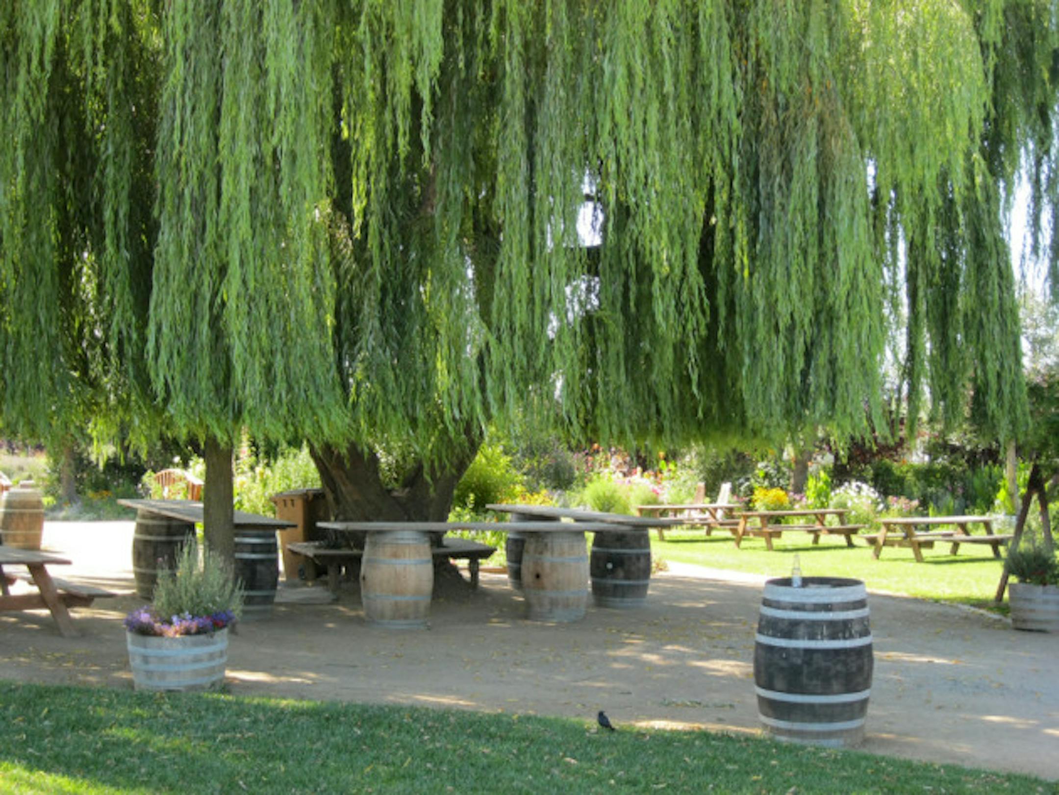 Want to hang outside? No problem ...