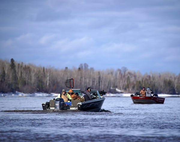 Anglers hit the Rainy River as walleye spawn in spring. But this year, for the first time, the DNR imposed catch-and-release rules on the border river