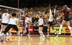 The Gophers celebrated a point scored by outside hitter Airi Miyabe (8) in the first set. ] Aaron Lavinsky &#x2022; aaron.lavinsky@startribune.com The