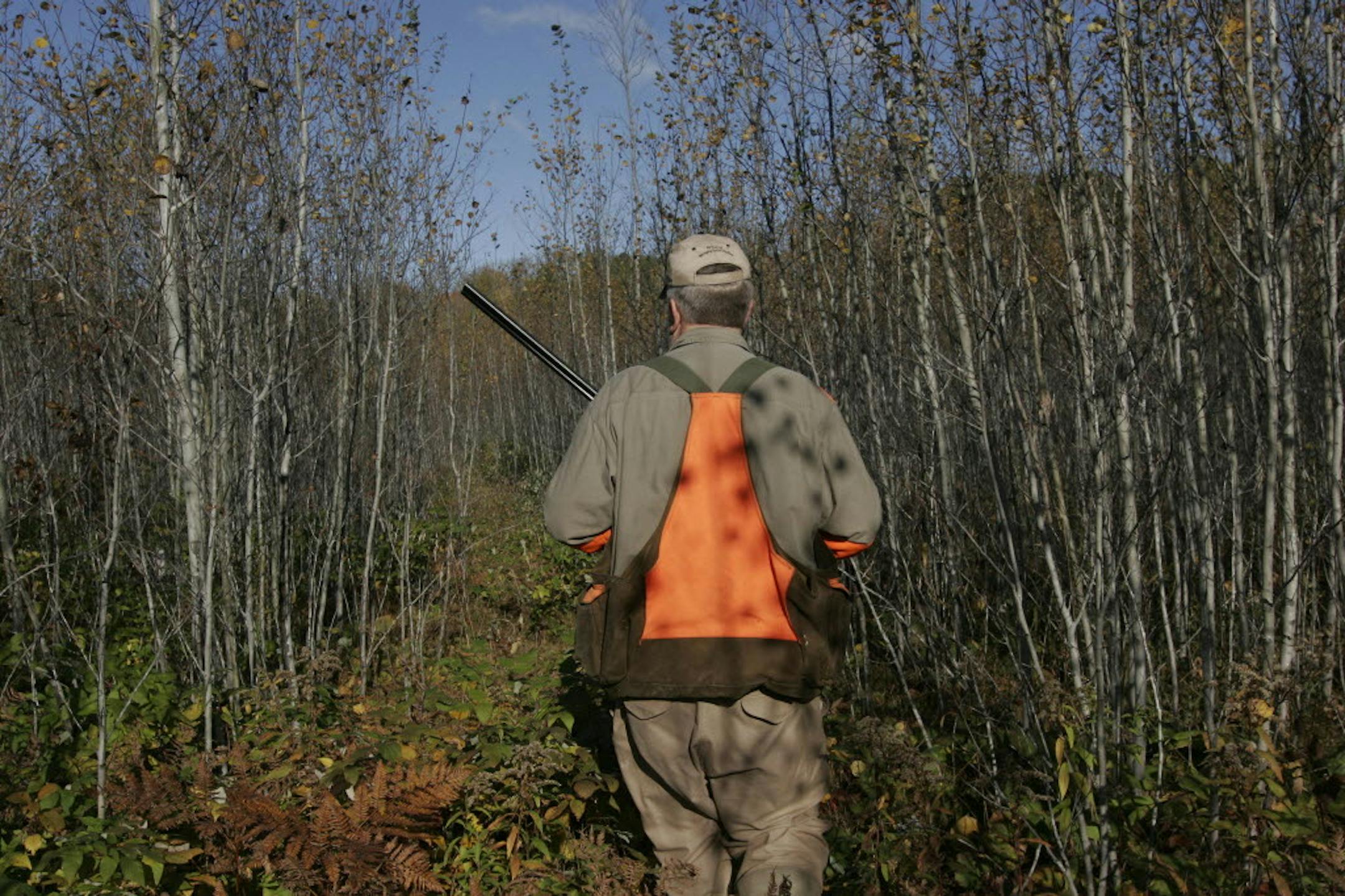 Ted Dick hunted near Deer River, Minn.