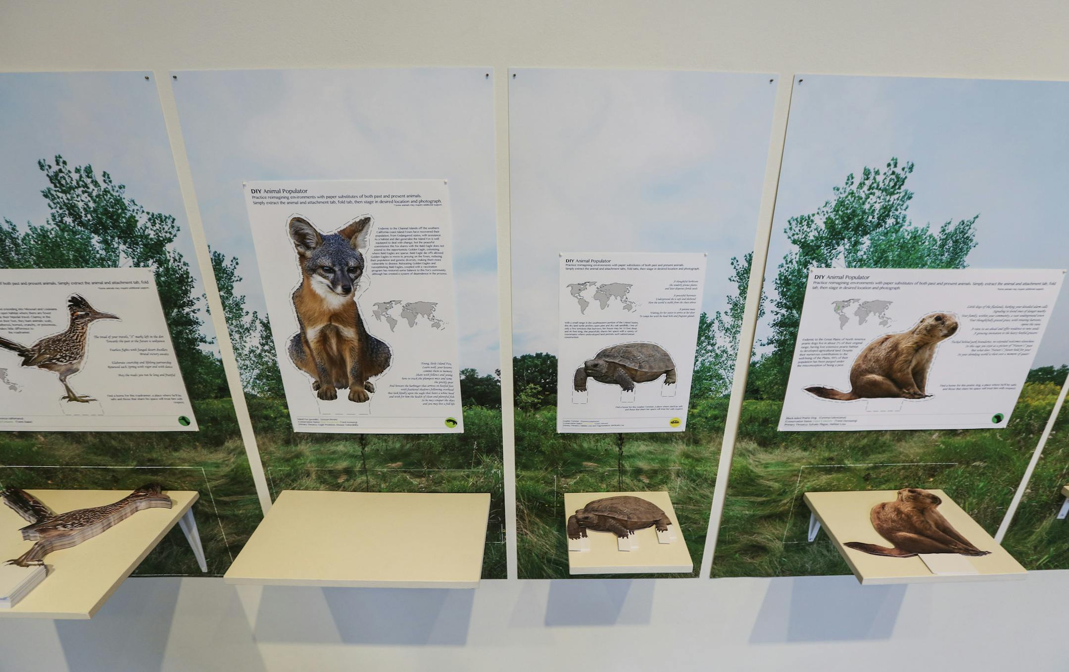 "DIY Animal Populator," by Miranda Brandon.
