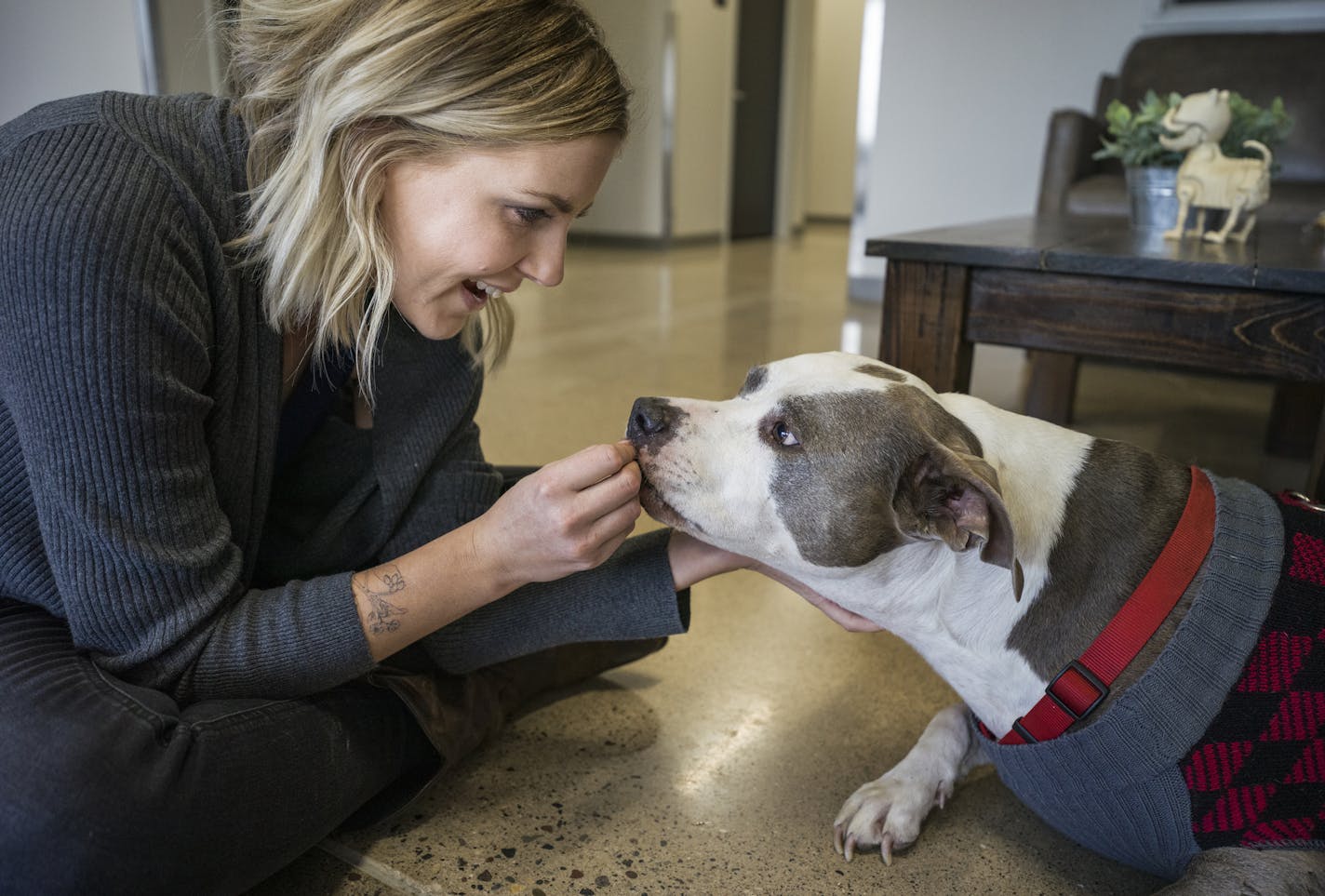 Rachel Mairose does the intake of pit bull Pixie being given up for adoption because the owner is moving to a trailer park that does not allow the breed. She has saved close to 17,000 dogs and cats at her rescue in Minnetonka.] Richard Tsong-Taatarii&#x2022;Richard.Tsong-Taatarii@startribune.com.