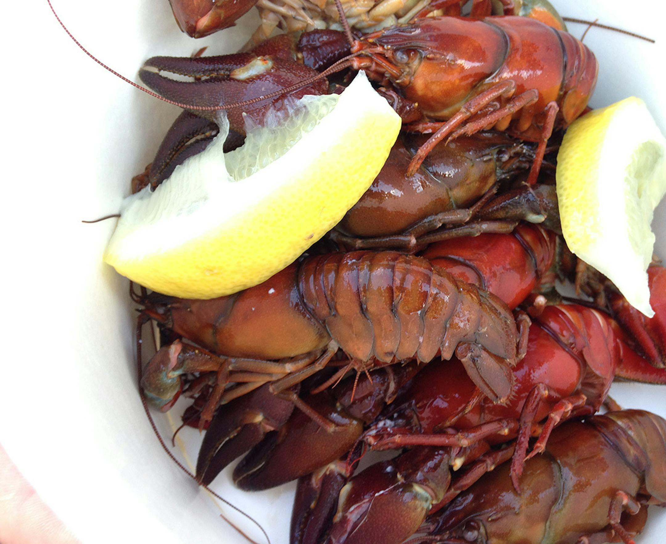Lee Svitak Dean, Star Tribune Crayfish at the Bachelor Farmer's annual Kraftskiva.