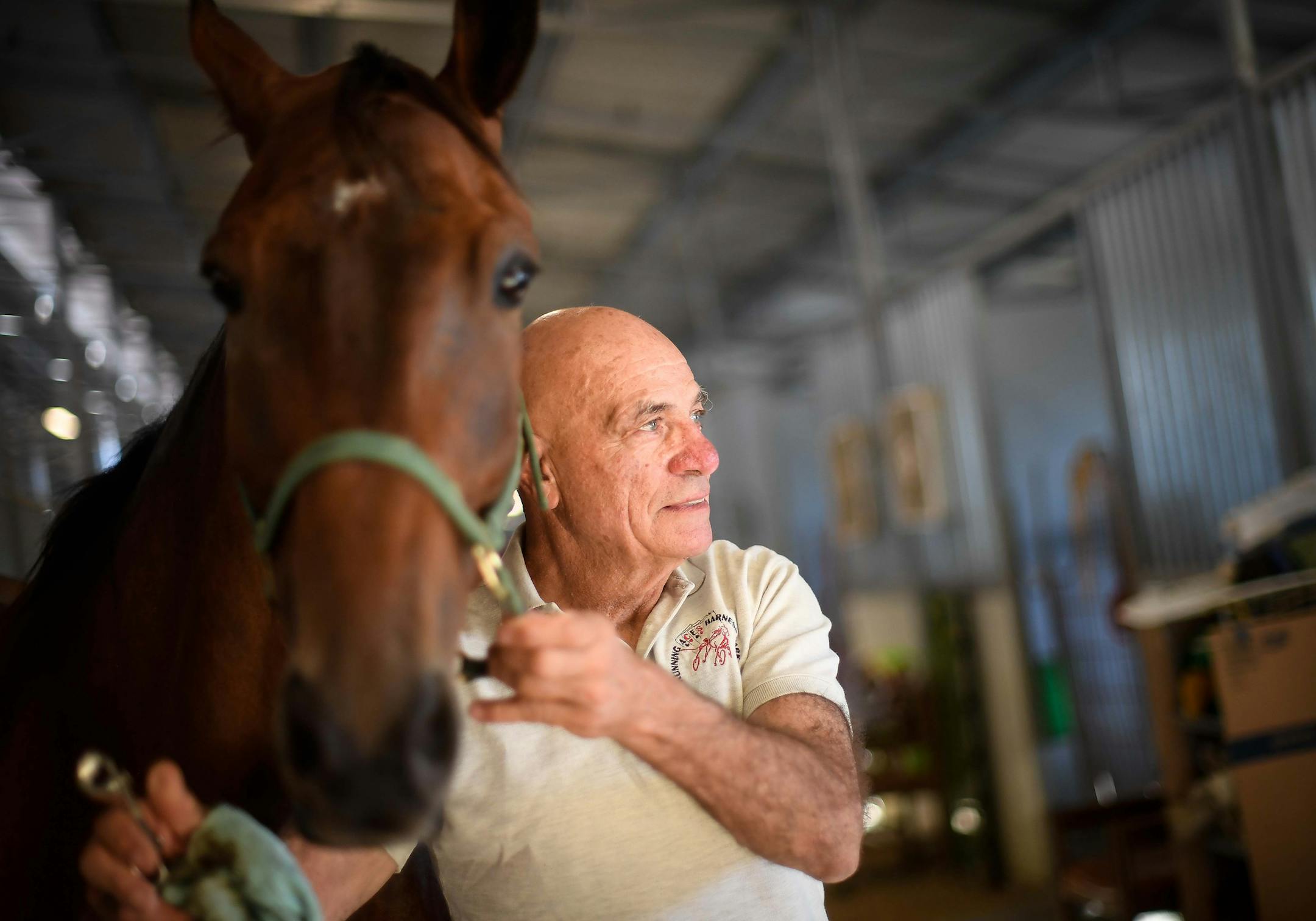 Jerry Longo unhooked a strap from the reins of "Caress of Steel" after he massaged her legs Wednesday night in the stables of Running Aces. ] AARON LAVINSKY ï aaron.lavinsky@startribune.com Minneapolis Mayor Betsy Hodges held a press conference at City Hall on Friday, July 21, 2017 in Minneapolis, Minn. The conference followed the resignation of Minneapolis Police Chief Janee Harteau at the request of the mayor. Protesters stormed the press conference forcing Hodges to exit.