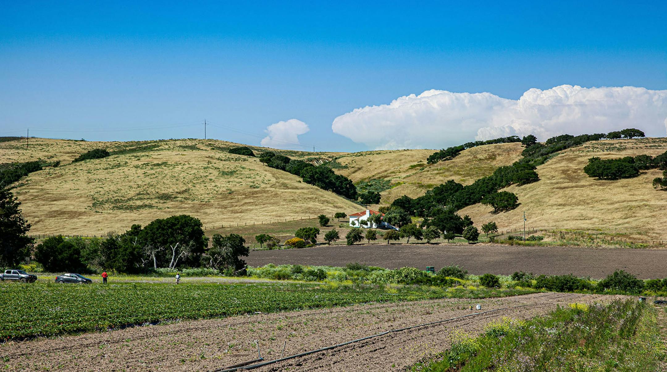 Farm, ranches and vineyards, taxed as agricultural land, continue to preserve the valley’s natural scenery near Lompoc, Calif. (Steve Haggerty/ColorWorld/TNS)