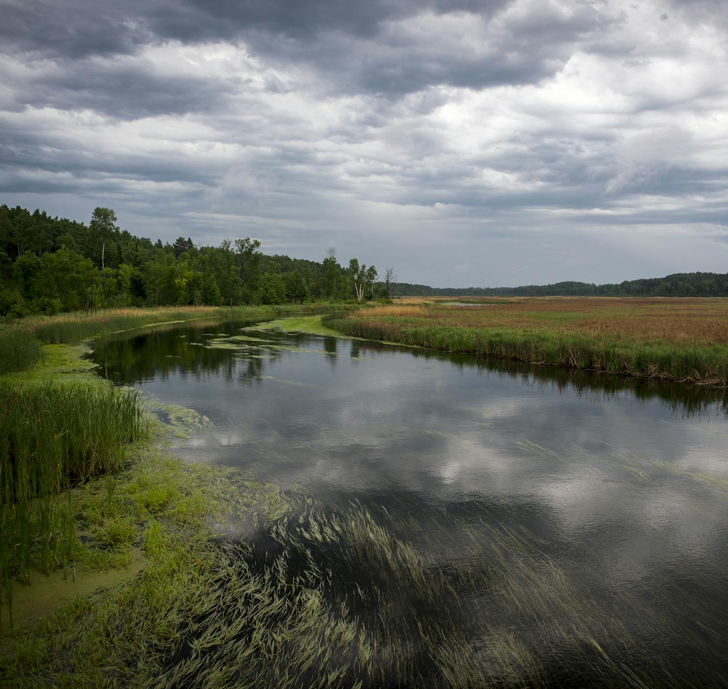 The upper Mississippi River between its headwaters in Itasca State Park and Bemidji in mid June. ] (AARON LAVINSKY/STAR TRIBUNE) aaron.lavinsky@startribune.com RIVERS PROJECT: We look at three of Minnesota's rivers, including the Mississippi, Red and Chippewa, to see how land use effects water quality and pollution.