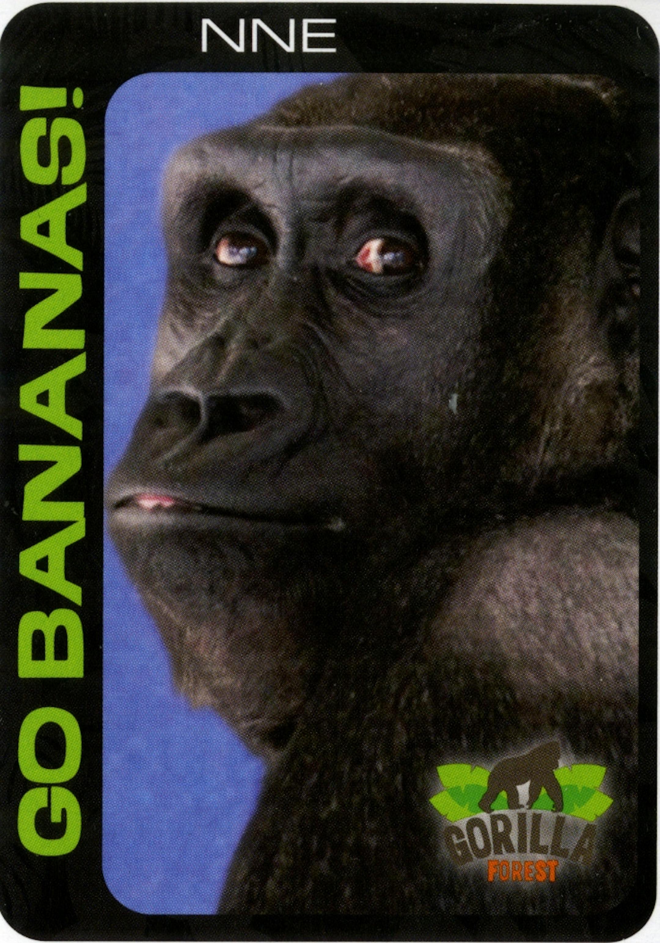 New Como Zoo gorilla exhibit, June 2013