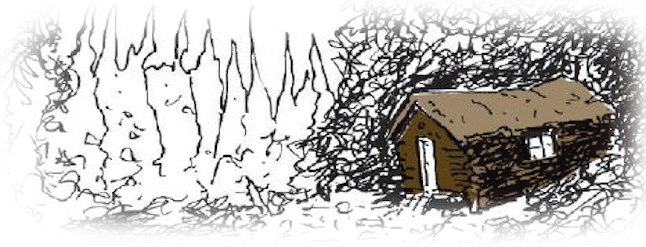 A small trapper's cabin gave the writer refuge.