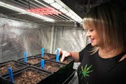 Bridgette Pinder, owner of Grounded Gardens in St. Paul, said she packed up her booth and left last week's Lucky Leaf cannabis expo after she learned 