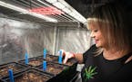 Bridgette Pinder, owner of Grounded Gardens in St. Paul, said she packed up her company's booth and left last week's Lucky Leaf cannabis expo in Minne