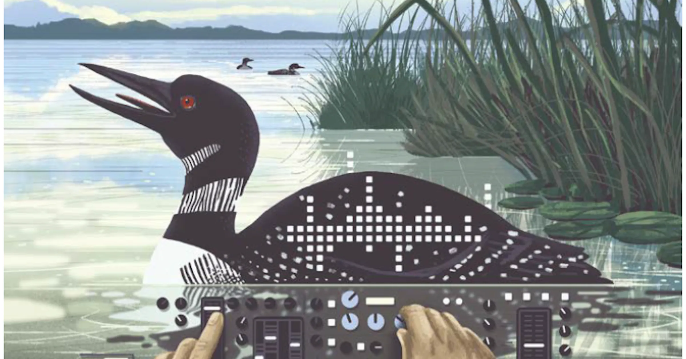Loon Phoenix There is nothing quite like the calls from a loon. Hollywood can't get ...