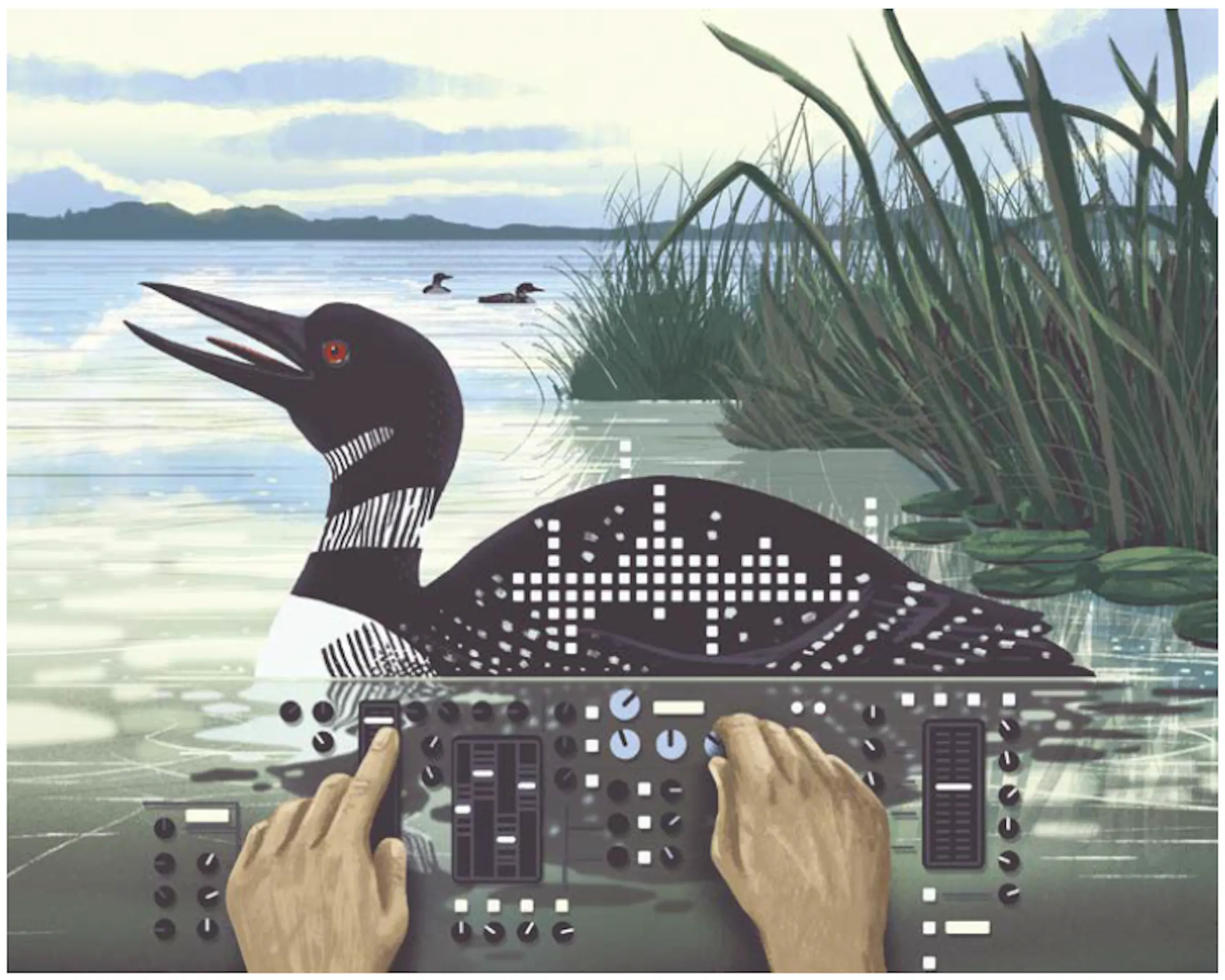 There is nothing quite like the calls from a loon. Hollywood can't get ...