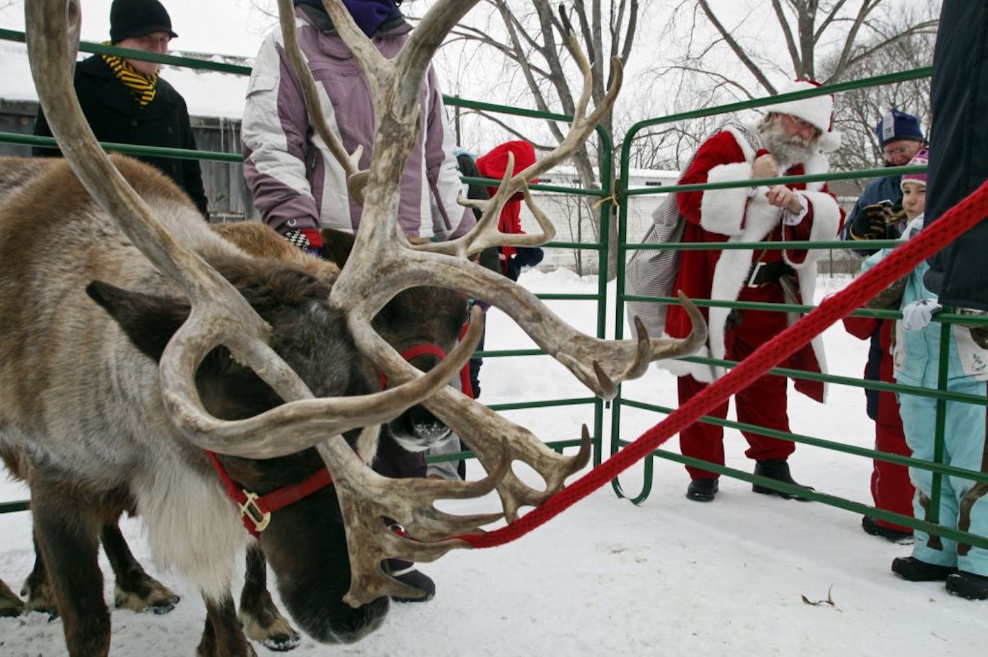 Santa was on hand to check on and show off his reindeer Donner and Blitzen for those in attendance.