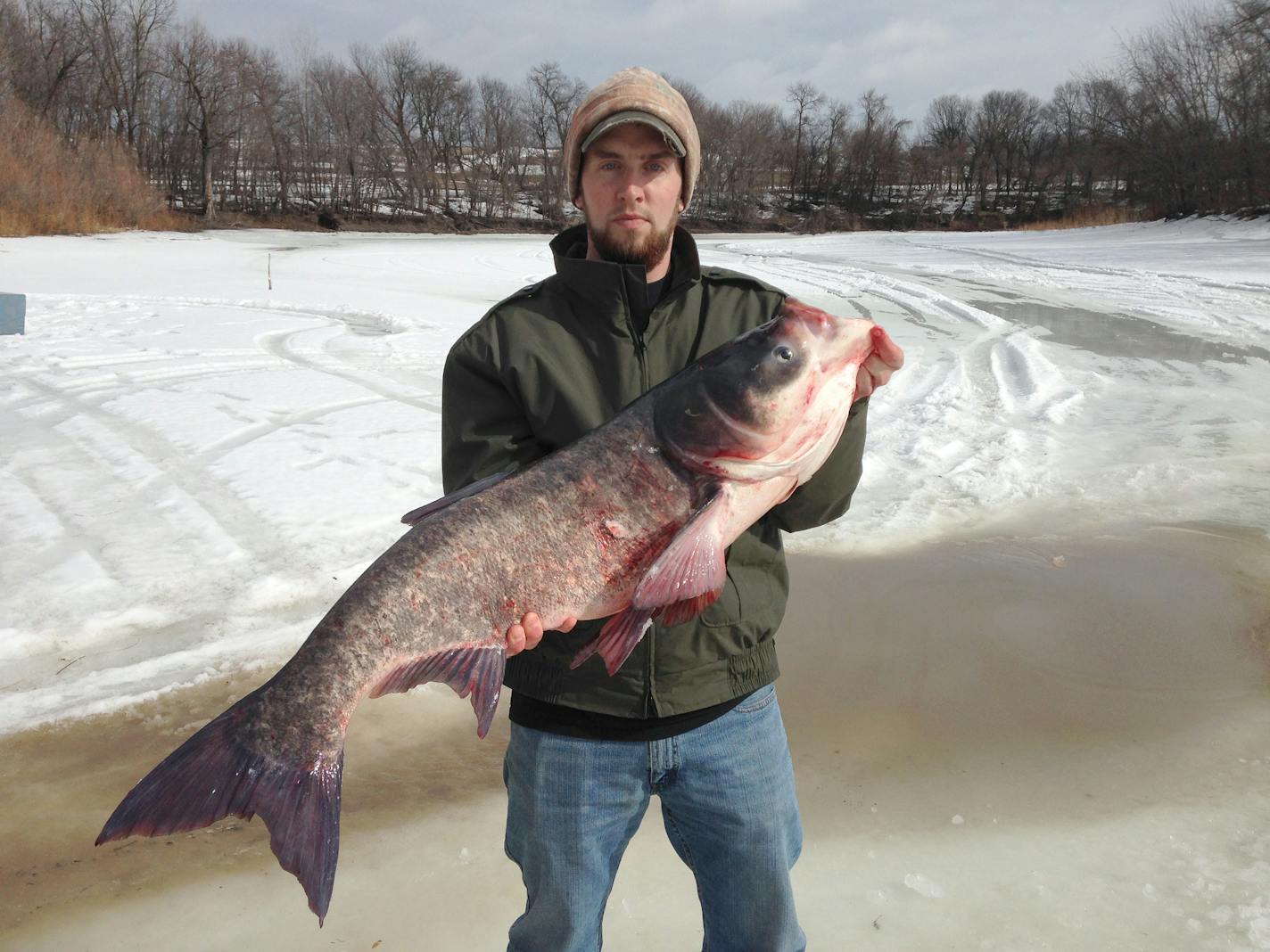 Tony Sindt, Minnesota River Specialist, DNR, holding a Bighead carp caught February 2016 on the Minnesota River