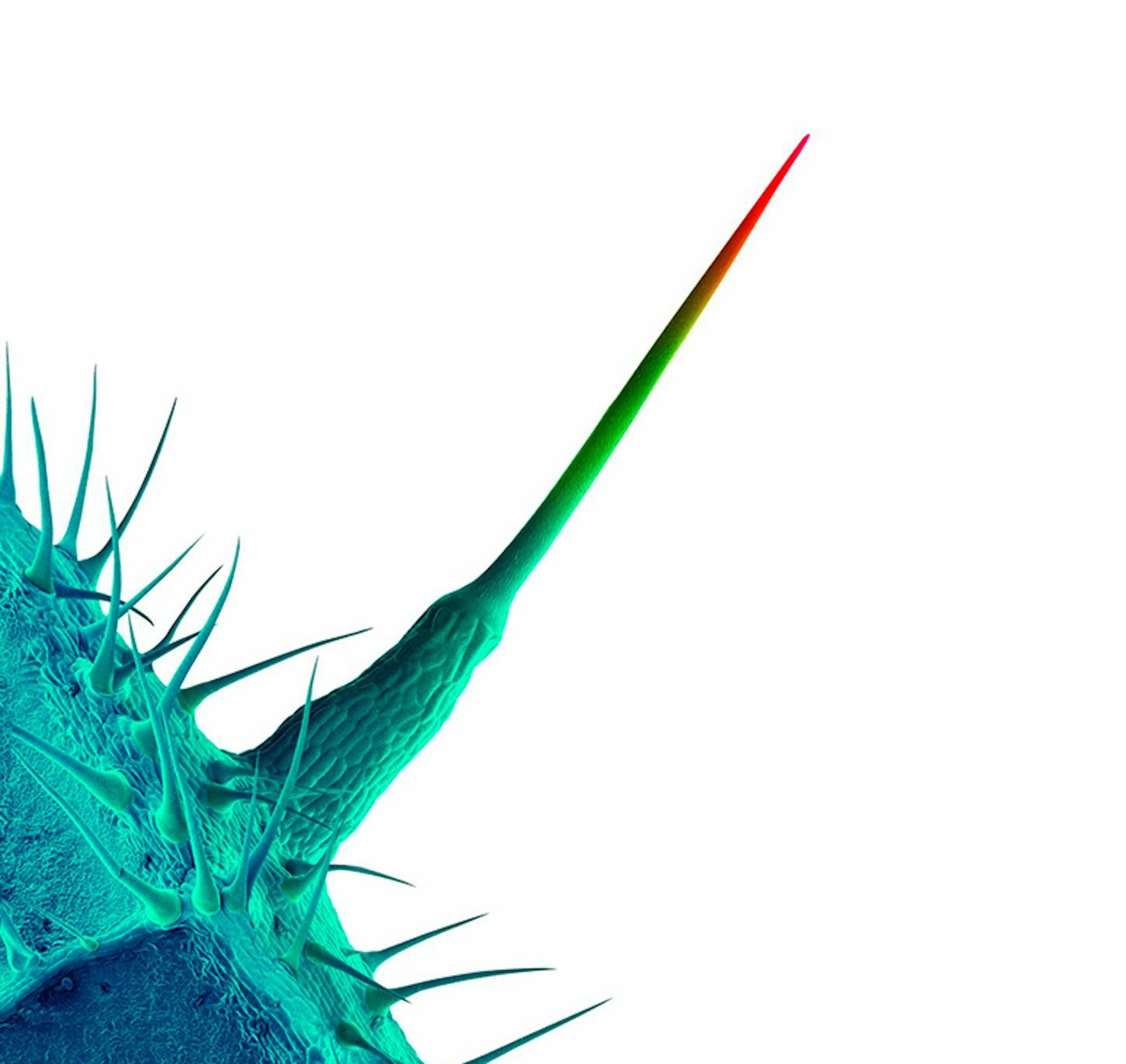 CD cover for "And I'll Scratch Yours" by various artists.