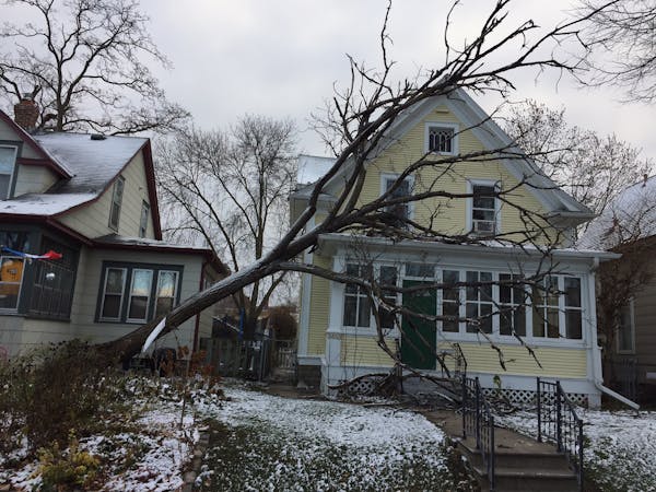 High winds downed some trees and branches in the Twin Cities. A tree tipped over onto this home in the 3800 block of Harriet Avenue S. in Minneapolis.