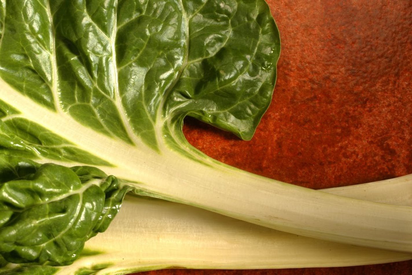 Shoot photo illustration of Kale, Chards and Spinach for cover story on Fall greens to put on your menu.