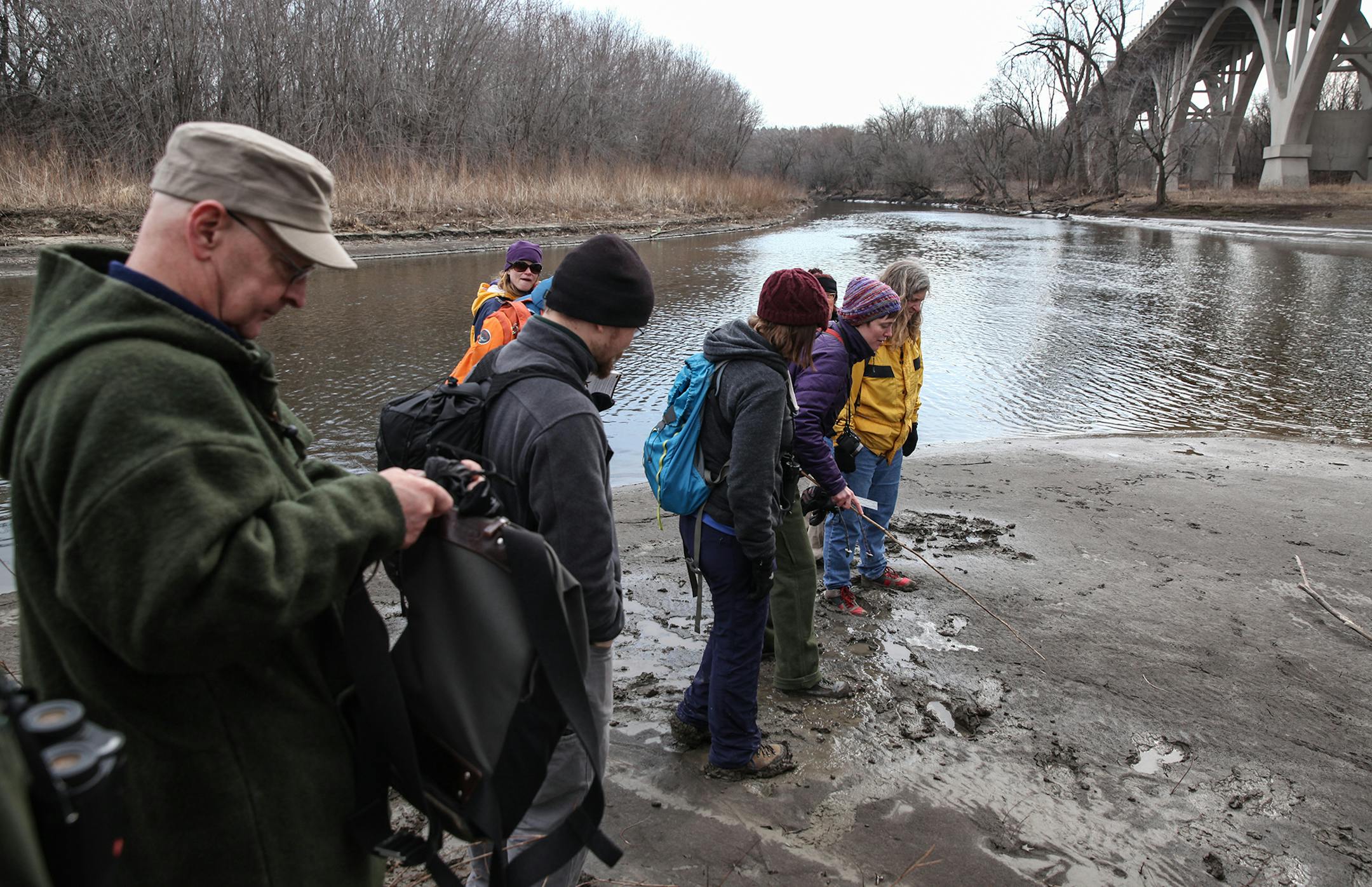 The tracking club members analyzed bird trackings during an outing March 19 at Fort Snelling State Park.
