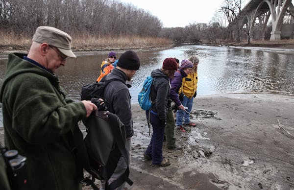 The tracking club members analyzed bird trackings during an outing March 19 at Fort Snelling State Park.