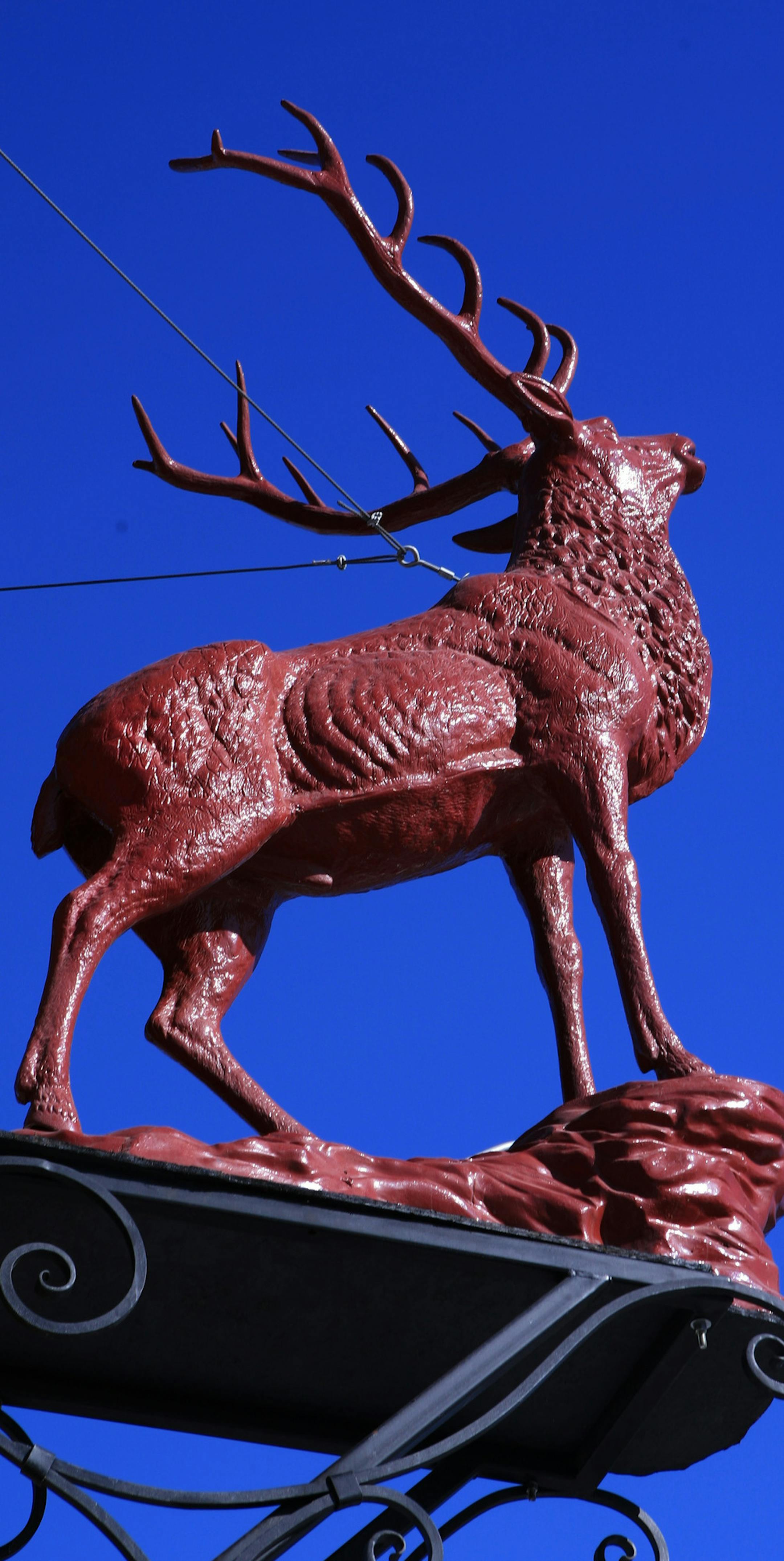 Steve Rice ï srice@startribune.com Minneapolis, 02/21/2008] A statue of a red stag adorns the front of the Red Stag Supperclub.
