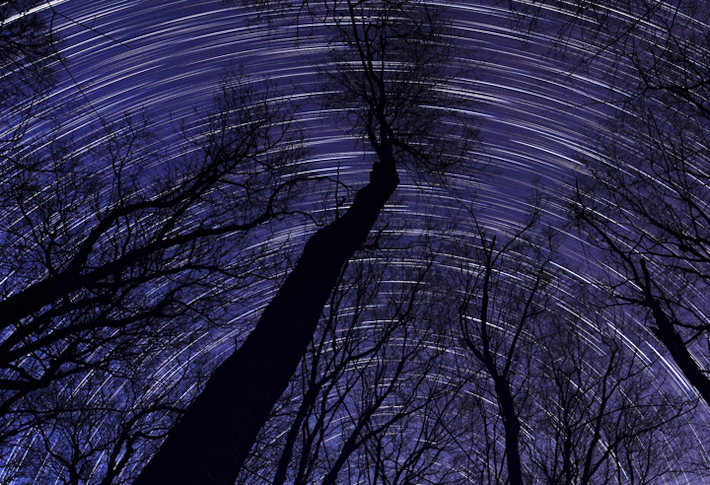 A star trails image, which is a blend of hundreds of shots taken over several hours, at the Carlos Avery Wildlife Management Area.