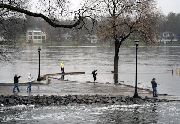 With Minnesota rivers surging and flooding due to rain and significant amounts of snowmelt, many riverside parks have been affected, with paths and ro