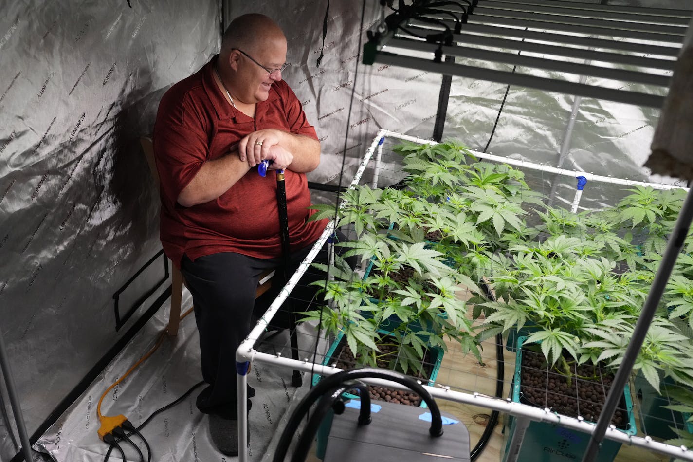 Patrick McClellan, a longtime medical marijuana patient, looks over the marijuana plants he's cultivating in a grow tent for personal use Thursday, Oct. 19, 2023 at his home in Bloomington, Minn. McCellan uses the drug to treat his mitochondrial disease, a rare form of muscular dystrophy.