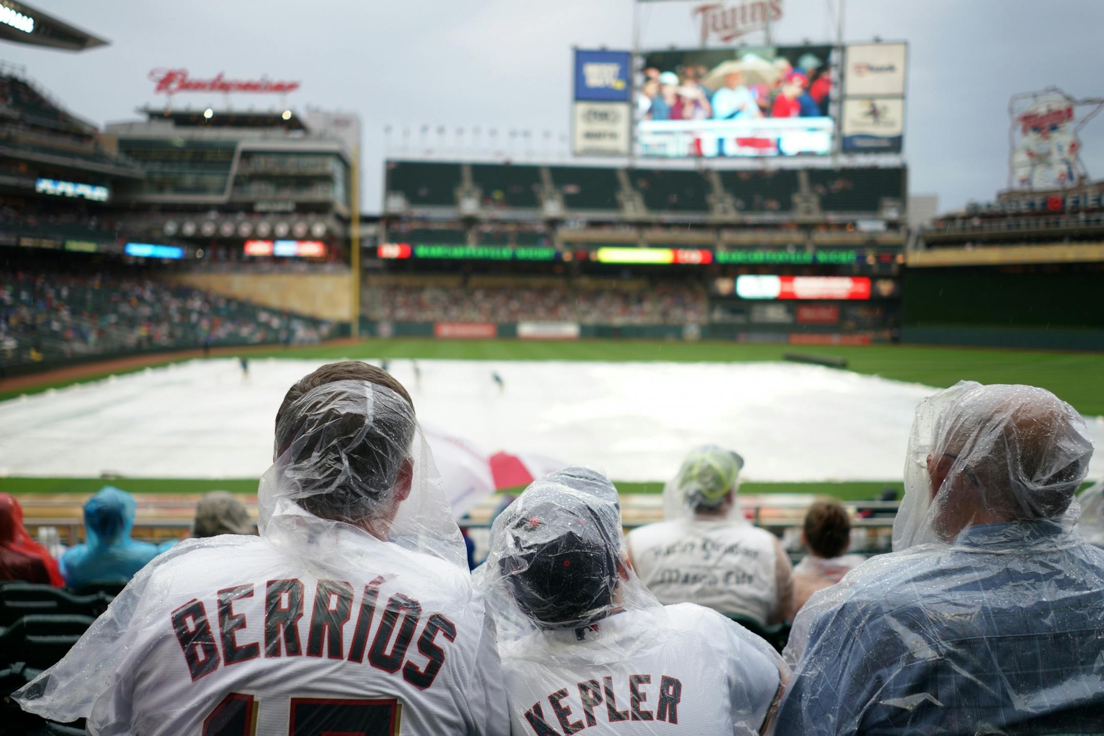 Minnesota Twins fans watched from under plastic rain ponchos as a Jimmy Buffet cover band entertained the crowd during a rain delay Friday at Target Field.