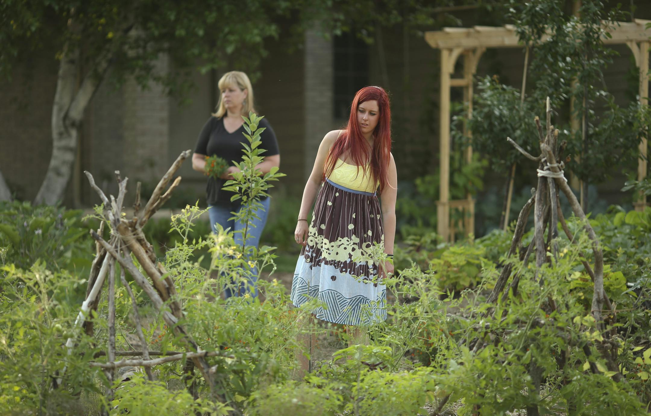 We check in with the the Schoenherr family ‚Äî John, Catherine, and their adult children Aaron and Andrea ‚Äì Monday night, July 15, 2013 to see how their Edible Estate landscaped vegetable garden in the front yard of their Woodbury home is progressing midway through the growing season. Andrea Schoenherr and her mother, Catherine, in their front yard landscaped with edible plants. ] JEFF WHEELER ‚Ä¢ jeff.wheeler@startribune.com