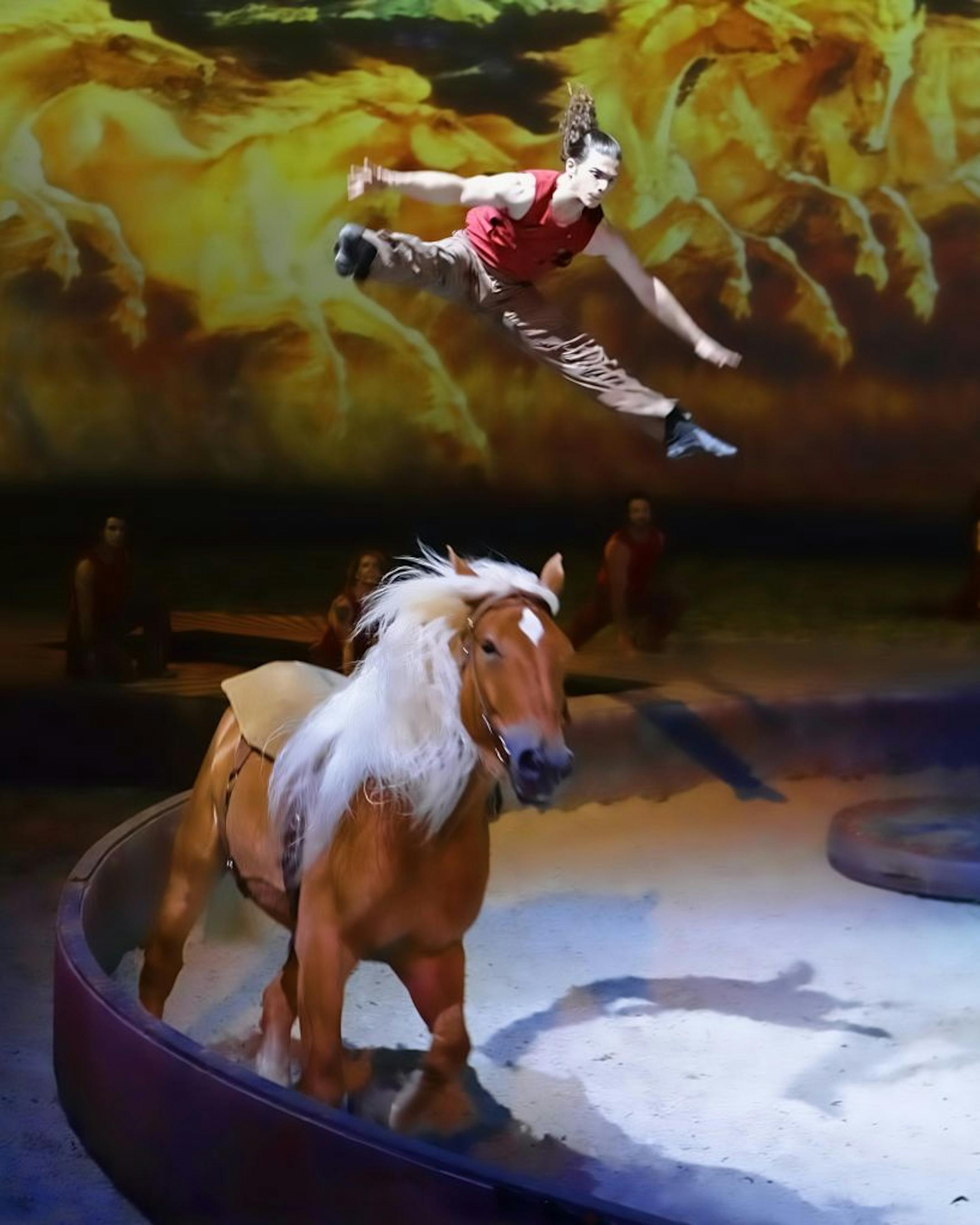 Voltige en Rond, "Cavalia."