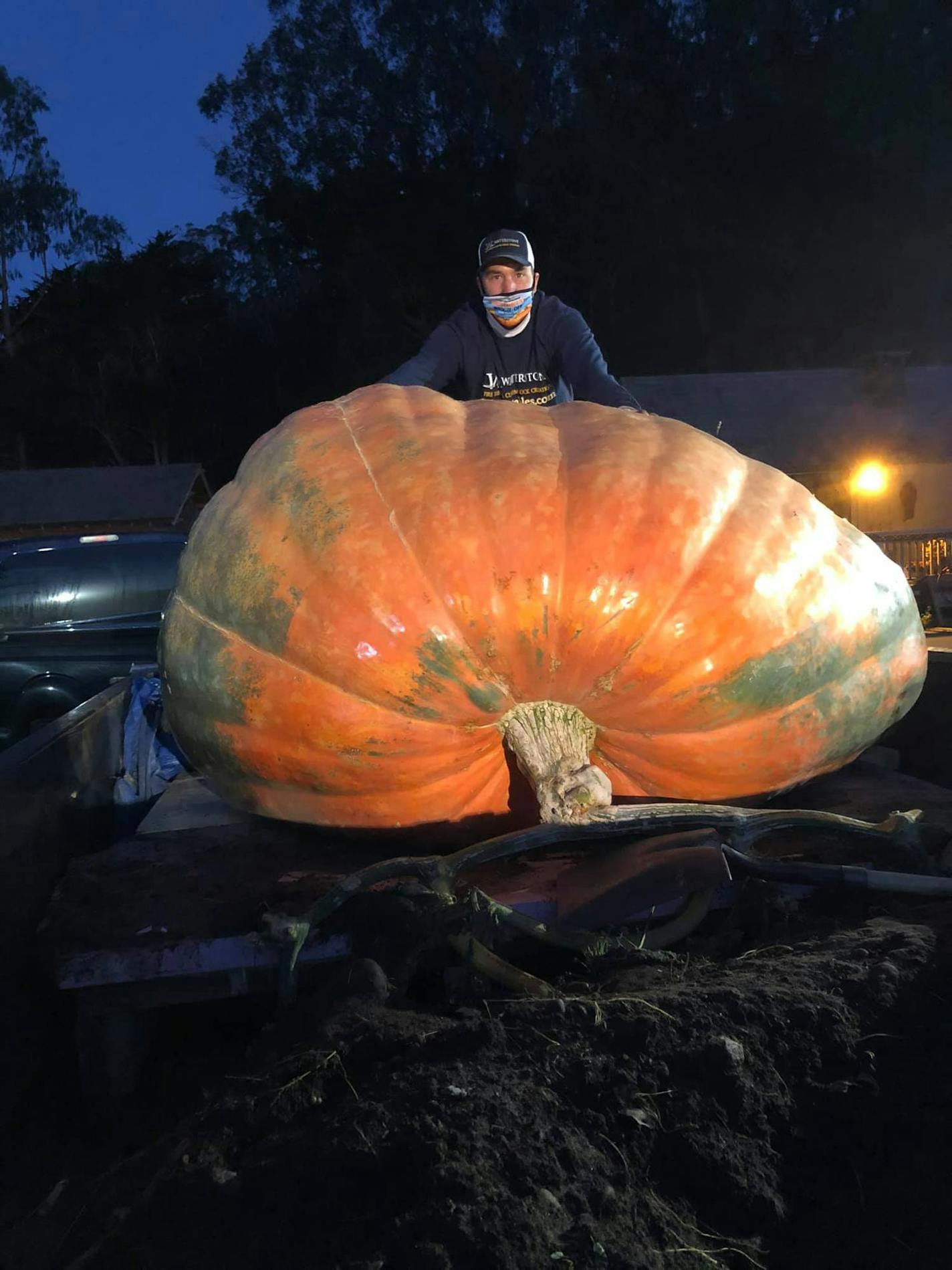 Travis Gienger, of Anoka, has grown the largest pumpkin in North America in 2020 weighing in at 2,350 pounds at the Safeway World Championship Pumpkin Weigh-Off in Half Moon Bay, Calif. His prize? $16,450, or $7 for every pound of his gargantuan gourd. Gienger let his fellow competitors know he hails from the Halloween Capital of the World, so it's only fitting that his pumpkin, named Tiger King, won the competition. ORG XMIT: 4jq-ukS8hPjcN0Q_Oh-7