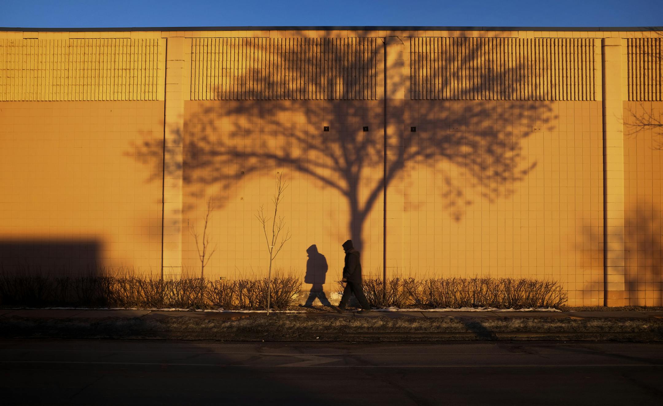 The easiest and surest forecast this winter has been for gray skies.