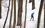 Ji Chen skied the cross country course Wednesday at Theodore Wirth Park. ] ANTHONY SOUFFLE &#xef; anthony.souffle@startribune.com Cross country skiers