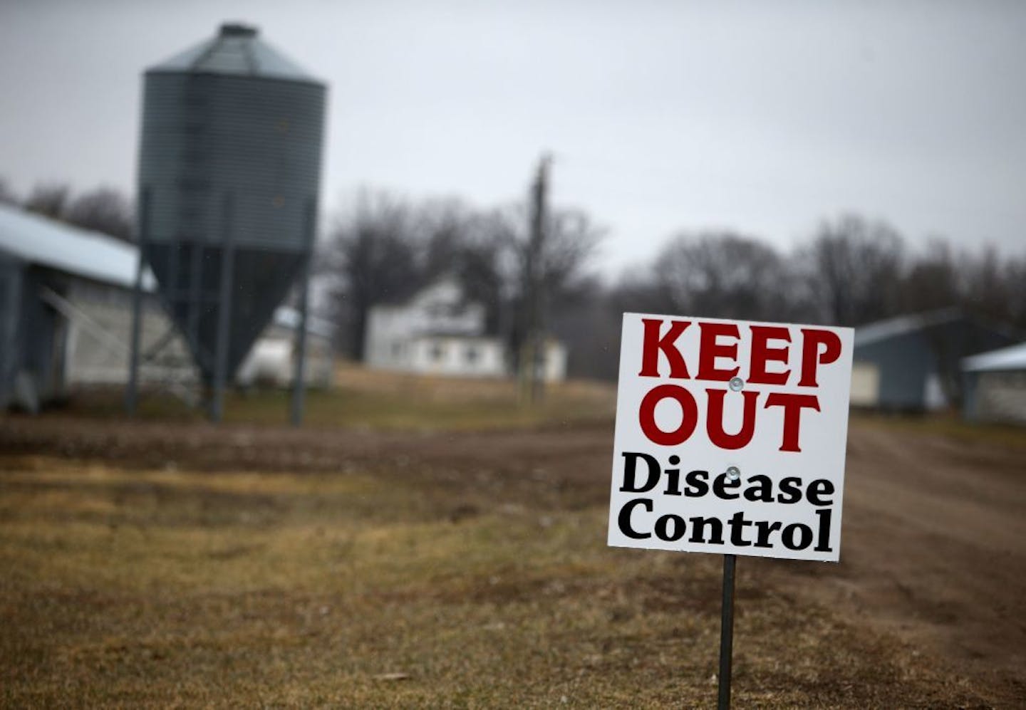 A turkey farm effected by the bird flu Thursday, April 9, 2010, in Melrose, MN.