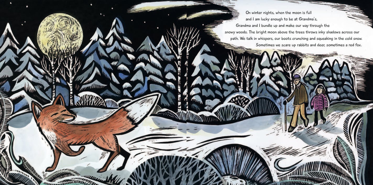 From "North Woods Girl," by Aimee Bissonnette, illustrated by Claudia McGehee