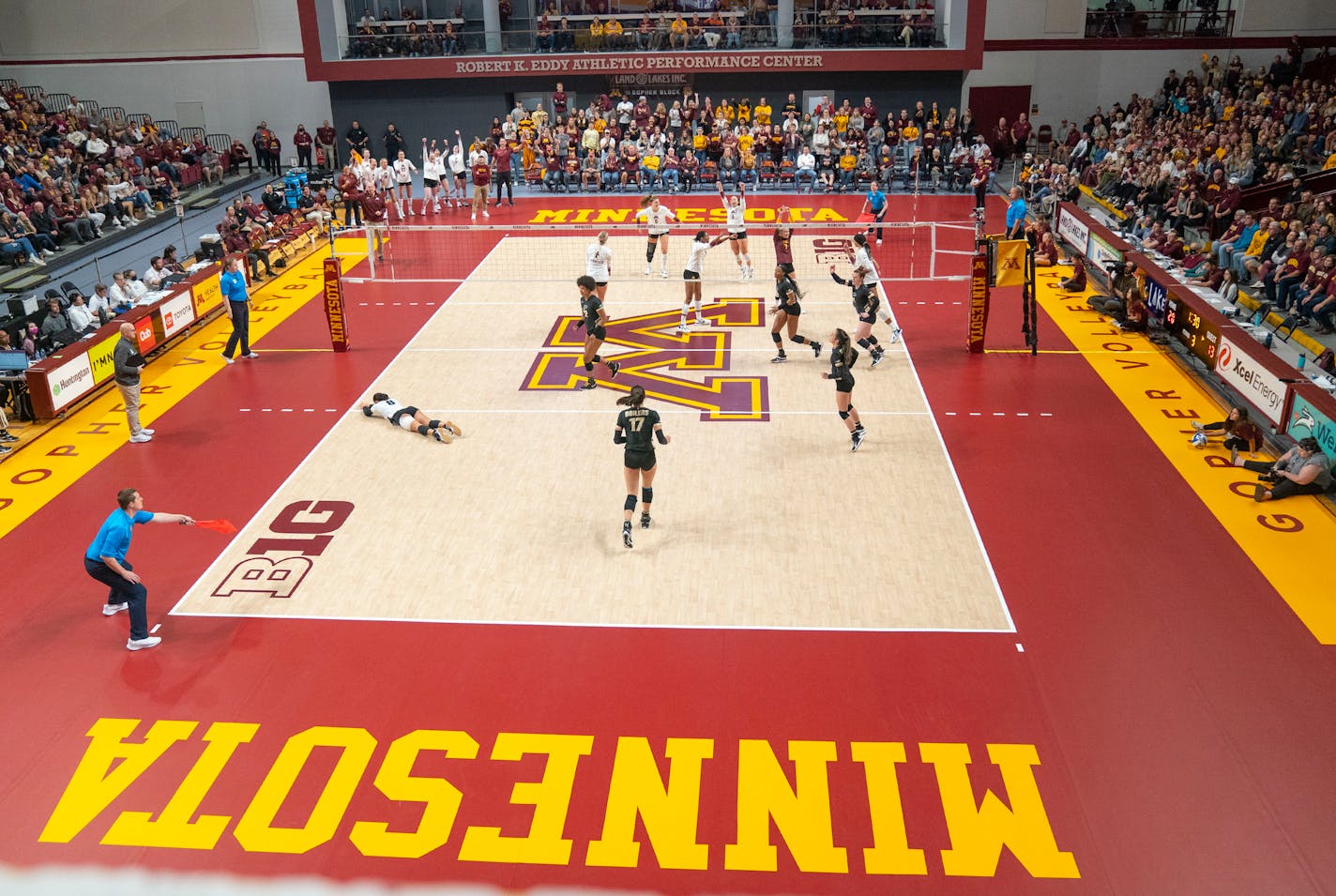 The Minnesota volleyball team celebrates after winning a point against Purdue in the third set Saturday, Oct. 22, 2022 at Maturi Pavilion in Minneapolis. ]