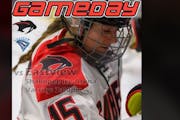 This image was posted on social media Thursday as a tribute to senior Shakopee High School hockey player Mikayla McCarvel, who died Tuesday for injuri