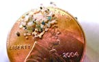 FILE - In this 2012 file photo provided by 5gyres.org, a sample of "microbeads" collected in eastern Lake Erie is shown on the face of a penny. Illino