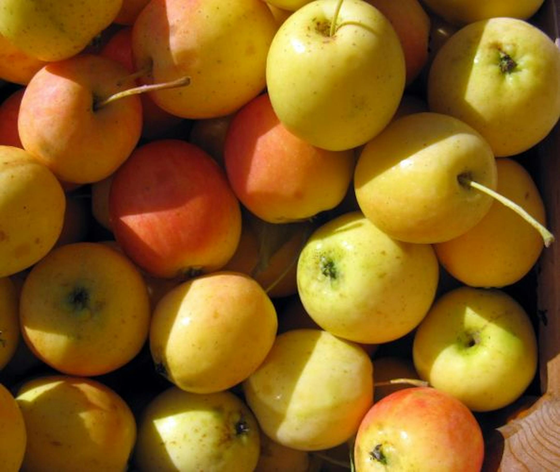 Centennial crab apples from Cedar Grove Orchard, at the St. Paul Farmers Market.