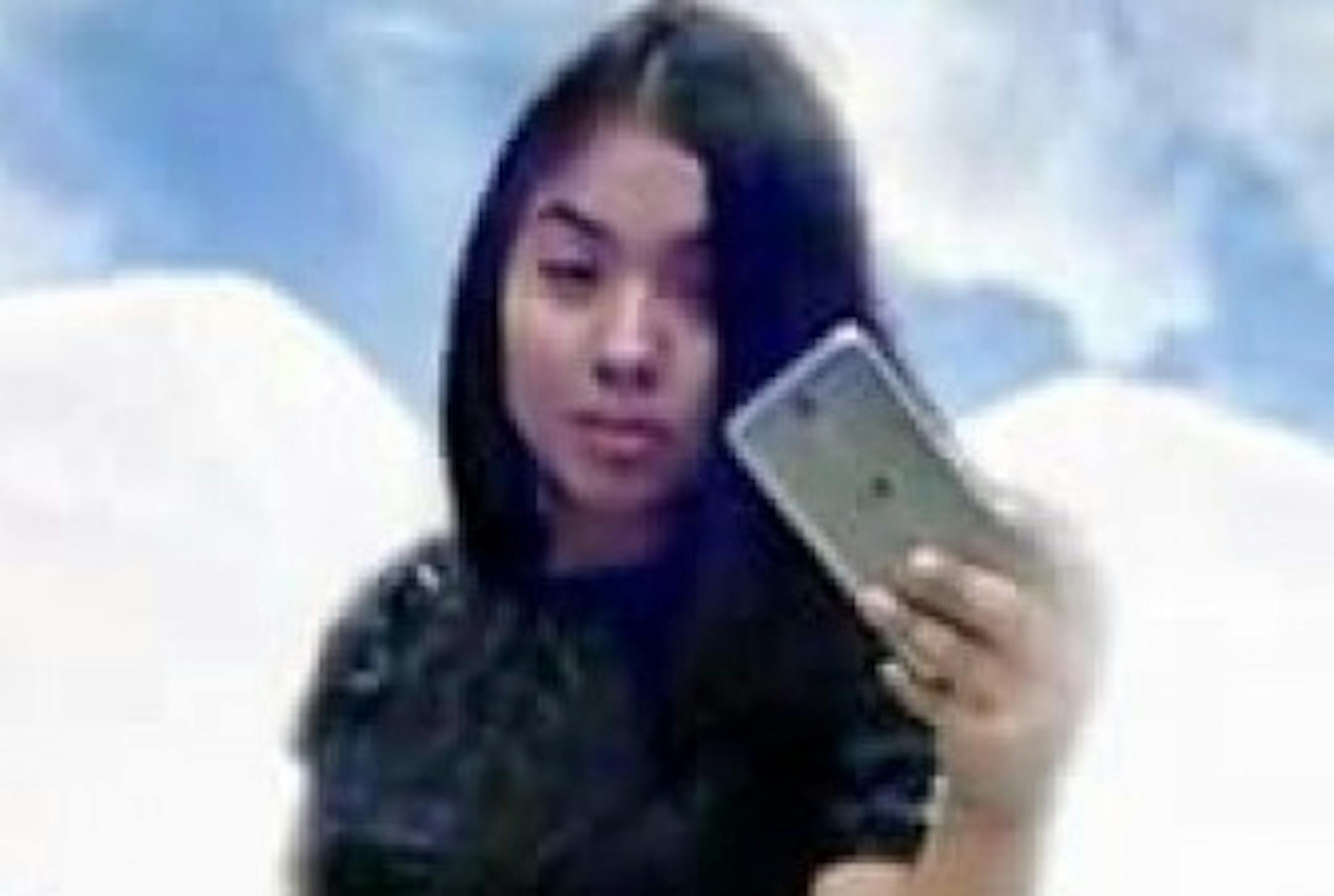 This image was made into an illustration on a GoFundMe page created on behalf of the survivors of Diana I. Garcia-Alvarado.