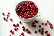 Cranberries deserve to be more than a Thanksgiving afterthought. Mette Nielsen, Special to the Star Tribune