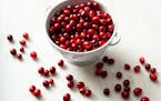 Cranberries deserve to be more than a Thanksgiving afterthought. Mette Nielsen, Special to the Star Tribune