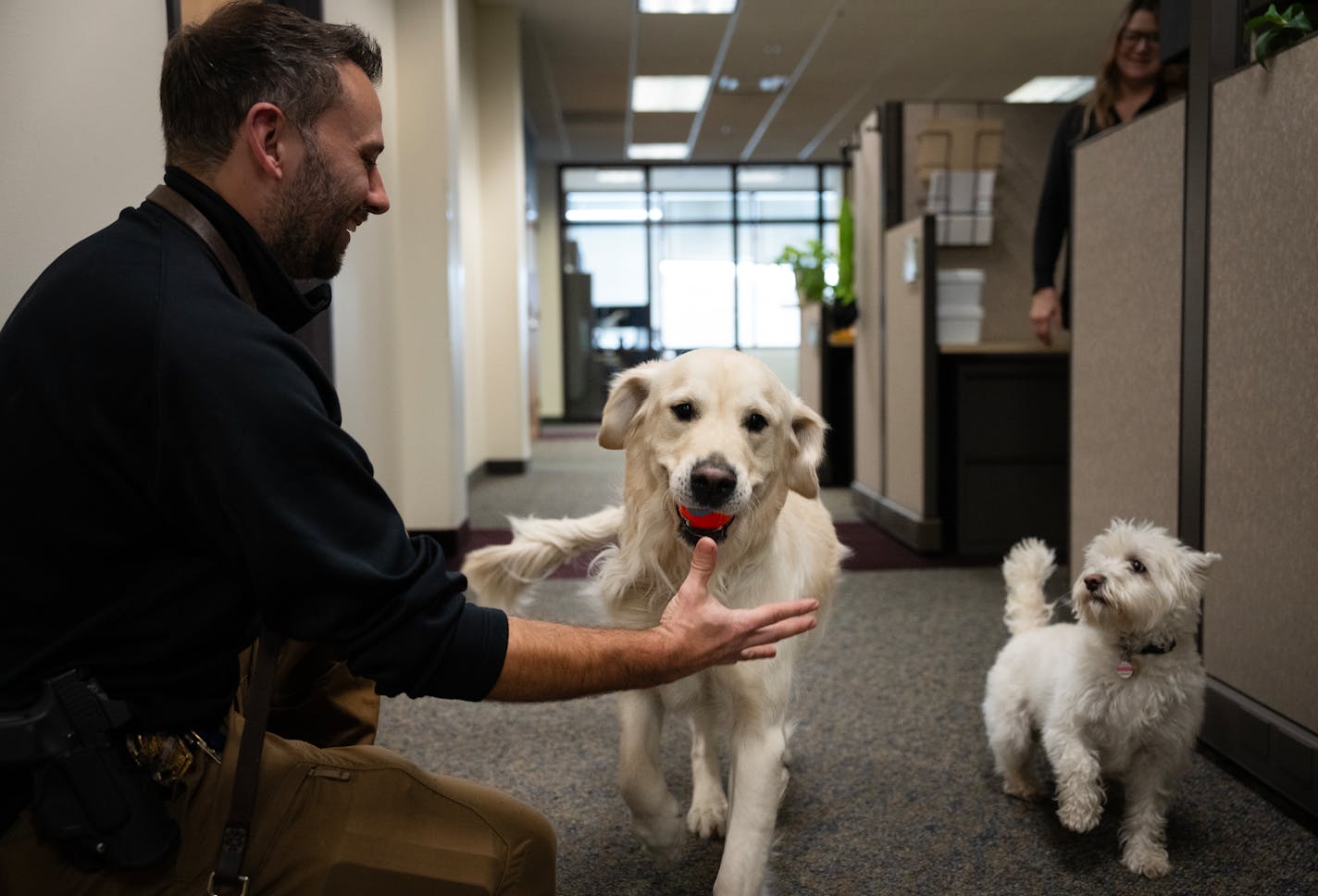 Det. Adam Sack plays with his canine partner Otis the therapy dog and Lucy the Westie inside at the Public Safety Building in Woodbury, Minn., on Tuesday, Nov. 14, 2023.