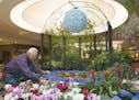 Dale Bachman marks a variety of flowers at the Bachman's/Galleria flower show "Spring is in the Air." [ Saxo #1005666928 flowers032718