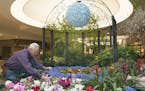 Dale Bachman marks a variety of flowers at the Bachman's/Galleria flower show "Spring is in the Air." [ Saxo #1005666928 flowers032718