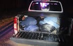 Twenty Mexican citizens were stopped after illegally crossing into Minnesota at the Canadian border, according to the  U.S. Border Patrol.