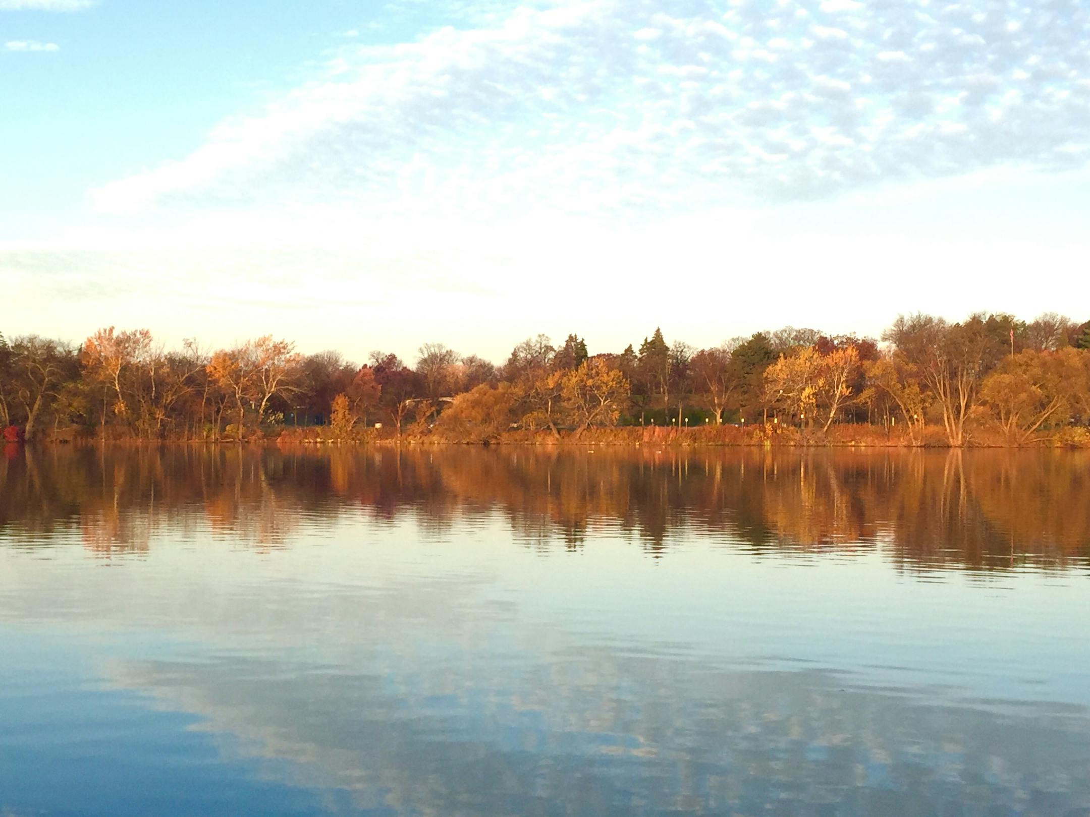 Sunny skies and fall color make a perfect pairing at Lake Como in St. Paul on Tuesday, Nov. 3, 2015.